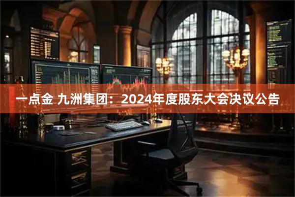 一点金 九洲集团：2024年度股东大会决议公告