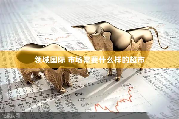 领域国际 市场需要什么样的超市