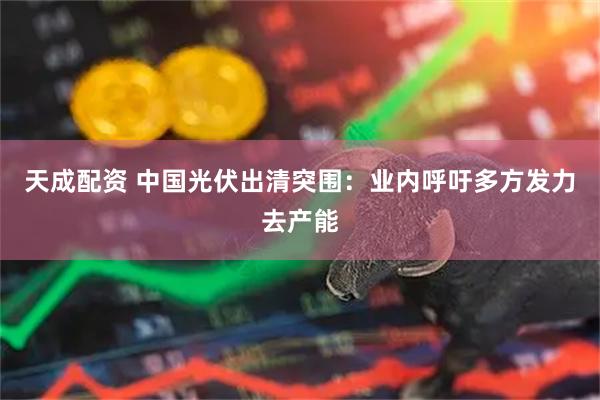 天成配资 中国光伏出清突围：业内呼吁多方发力去产能