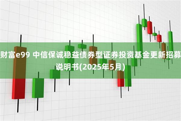 财富e99 中信保诚稳益债券型证券投资基金更新招募说明书(2025年5月)