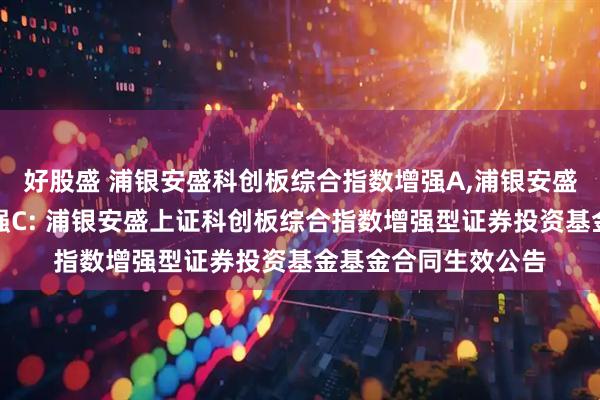 好股盛 浦银安盛科创板综合指数增强A,浦银安盛科创板综合指数增强C: 浦银安盛上证科创板综合指数增强型证券投资基金基金合同生效公告
