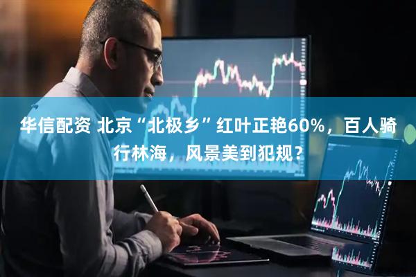 华信配资 北京“北极乡”红叶正艳60%，百人骑行林海，风景美到犯规？