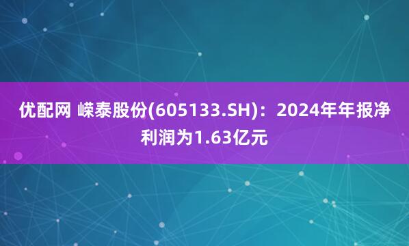 优配网 嵘泰股份(605133.SH)：2024年年报净利润为1.63亿元