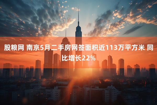 股粮网 南京5月二手房网签面积近113万平方米 同比增长22%