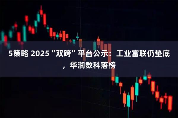 5策略 2025“双跨”平台公示：工业富联仍垫底，华润数科落榜