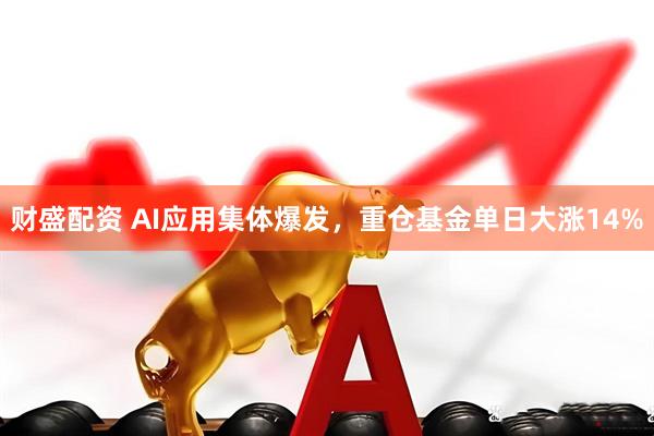 财盛配资 AI应用集体爆发，重仓基金单日大涨14%