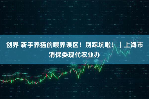 创界 新手养猫的喂养误区！别踩坑啦！｜上海市消保委现代农业办